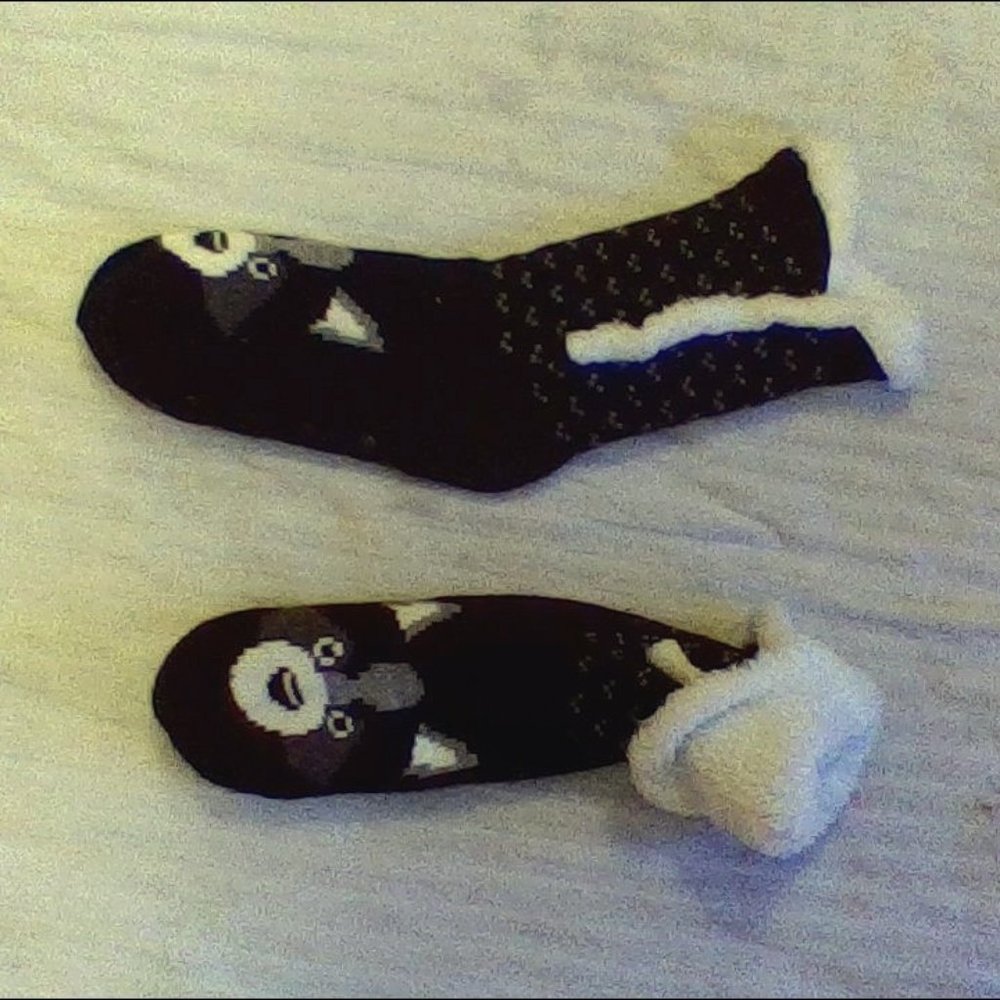 Home shoe sock
